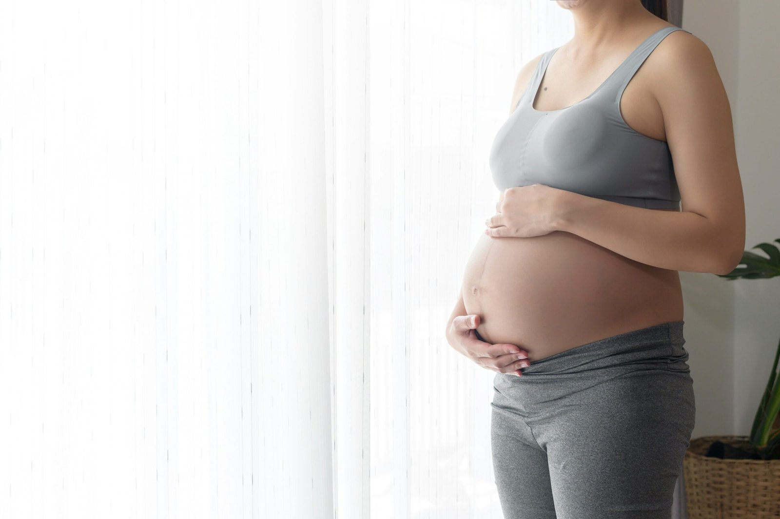 Pregnant woman showing different life stages
